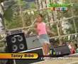 TOTOY BIBO
