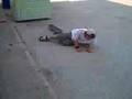 videos de video xulo