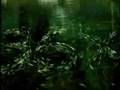 videos de Cesan - Inadimplência