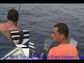Serrote Espadim Azul Blue Marlin Serrote Espadim Azul Blue Marlin