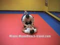 Miami Jiu-jitsu