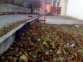 Mt 3.0 - Dereli Köyü