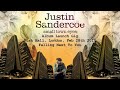 Falling Next To You • Justin Sandercoe (Live with band at Bush Hall)