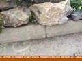 videos de Un mosso mata a un esquizofrenico presuntamente peligroso