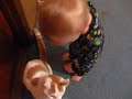 Baby laughs at cat!