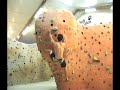 Bleau Climbing Gent