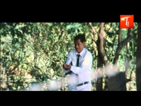 bunny, NTR, Duvvasi, Brahmanandam, Ali, Snehithuda, Nitin, Raam, Balakrishna, venkatesh, Nagendrababu