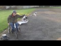 Raptor E550 flight with mild 3d and pirouetting flips DX7 GY401 Hacker ESC