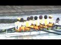 Rowing 8+
