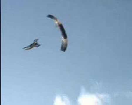 See video