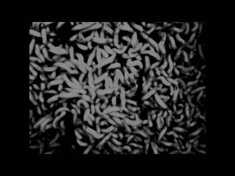 Image de prévisualisation YouTube