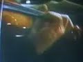 Perlman plays Wieniawski