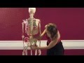 Upside-Down Pilates - Episode 3 - The Sensual Spine - Part 1 of 4