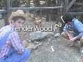 Tenderwood Farm