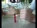 cola chat 2.3g2