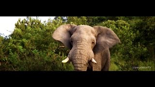 SUDÁFRICA