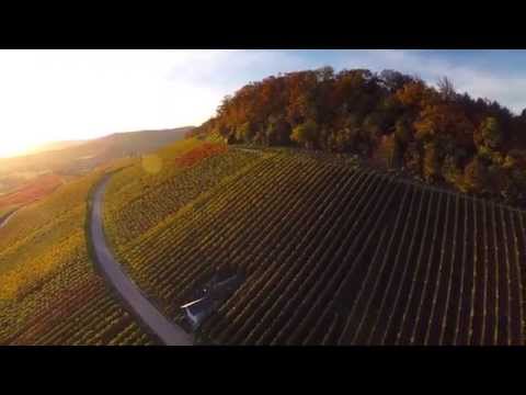 how to collect autumn leaves