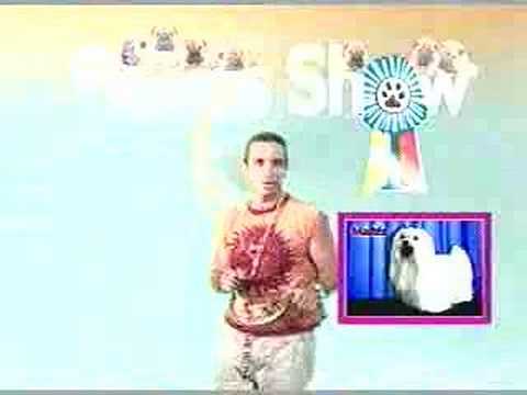Imagen de previsualización de YouTube