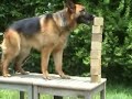 block GSD block GSD