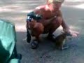 Un bébé kangourou Un bébé kangourou