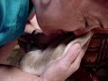 sock sniffing