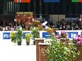 Jumping de Bordeaux - Philippe Rozier et Ideal de Roy