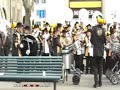 Guggi Zunft zu Olten