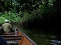 Jungle cruise on the Maroni River