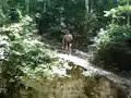 Aku D Atas