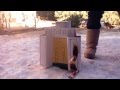 History Project: Dead Sea Scrolls, Holy Temple, Essenes and