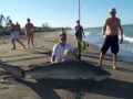 1st anual FS shorebound shark tourny trailer 1st anual FS shorebound shark tourny trailer