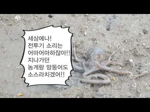 광주 군공항 무안 이전 결사반대 3