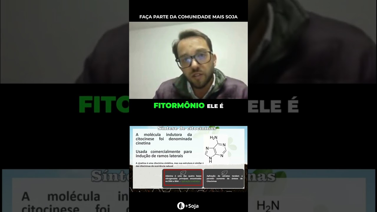 O que ninguém te conta sobre a citocinina #agro #soja #curiosidades