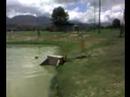 saltando al agua