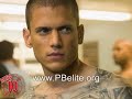 prison break sarah wayne callies is back - confirmed