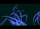 Chromosphere by SQNY