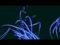 Chromosphere by SQNY