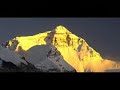 Search Video