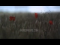 in bred new trailer 2011