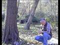 videos de Squirrelman 3