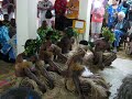Young Male Fiji Dancers