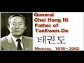 taekwon do
