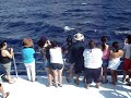 Video of whales on guam during our dolphin watch fieldtrip..part 2