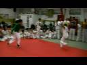 capoeira braunschweig
