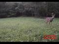 2006-09-27 MAD Old Food Plot (H2)
