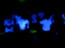 Dingle Dance