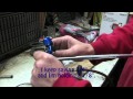 Basic AN Hose Tech - making AN hoses