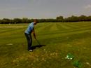 Edore swing    