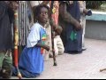 rastafari live