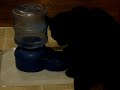 water.MPG